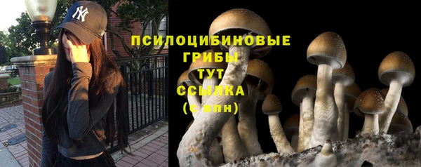 кристаллы Арсеньев